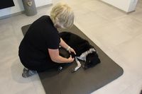 Arthrose beim Hund mit Physiotherapie behandeln